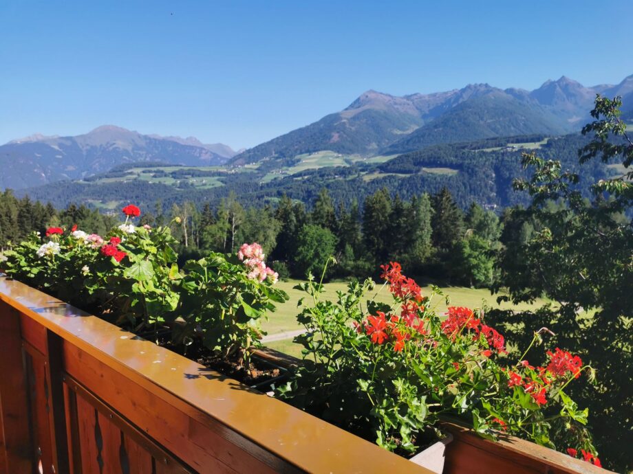 Edelweiss balcony