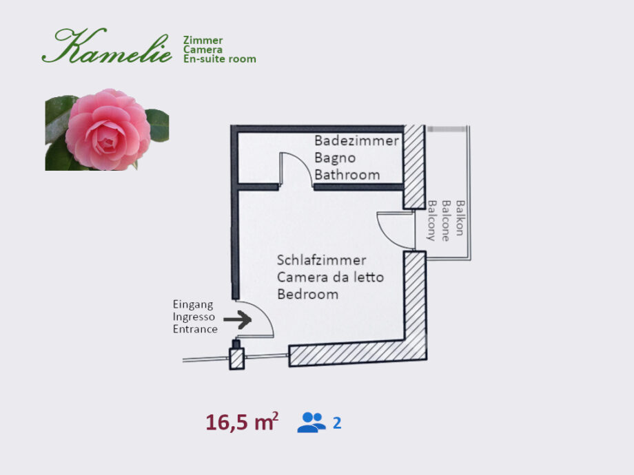 kamelie map